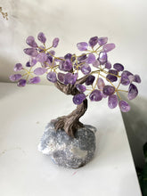 Load image into Gallery viewer, Amethyst Gem Tree/Crystal Tree (M) 12 braches, 60 Crystals TR060
