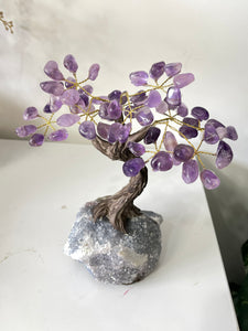 Amethyst Gem Tree/Crystal Tree (M) 12 braches, 60 Crystals TR060