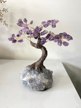 Load image into Gallery viewer, Amethyst Gem Tree/Crystal Tree (M) 12 braches, 60 Crystals TR060
