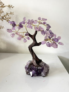 Amethyst Gem Tree/Crystal Tree (M) 12 braches, 60 Crystals TR057