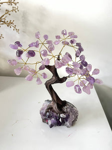 Amethyst Gem Tree/Crystal Tree (M) 12 braches, 60 Crystals TR057