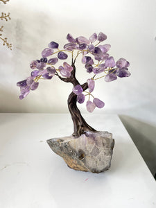 Amethyst Gem Tree/Crystal Tree (M) 12 braches, 60 Crystals TR058