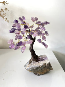 Amethyst Gem Tree/Crystal Tree (M) 12 braches, 60 Crystals TR058