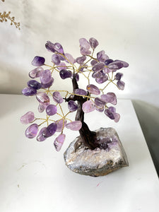 Amethyst Gem Tree/Crystal Tree (M) 12 braches, 60 Crystals TR058