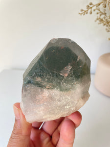 Chlorite Green Phantom Himalayan Quartz Crystal Q287a