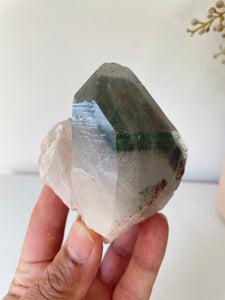 Chlorite Green Phantom Himalayan Quartz Crystal Q288a