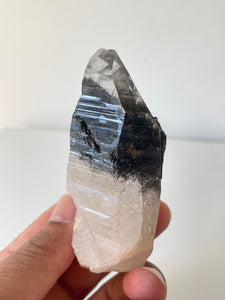 Himalayan Tourmalinated Quartz Crystal Q301a