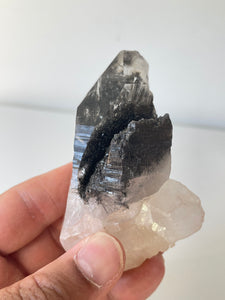 Himalayan Tourmalinated Quartz Crystal Q301a