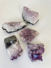 Load image into Gallery viewer, Bulk Lot Amethyst clusters (pack of 5) - K313
