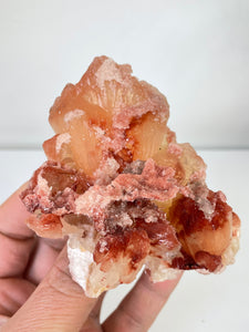 Orange-Red Stilbite Natural Cluster Rare AP629a