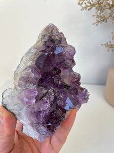 Amethyst Natural Crystal Cluster A392