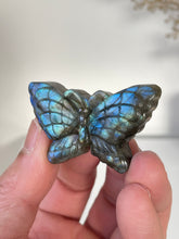 Load image into Gallery viewer, Blue Labradorite Butterfly Carving LA125
