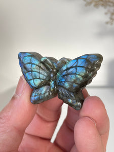 Blue Labradorite Butterfly Carving LA125