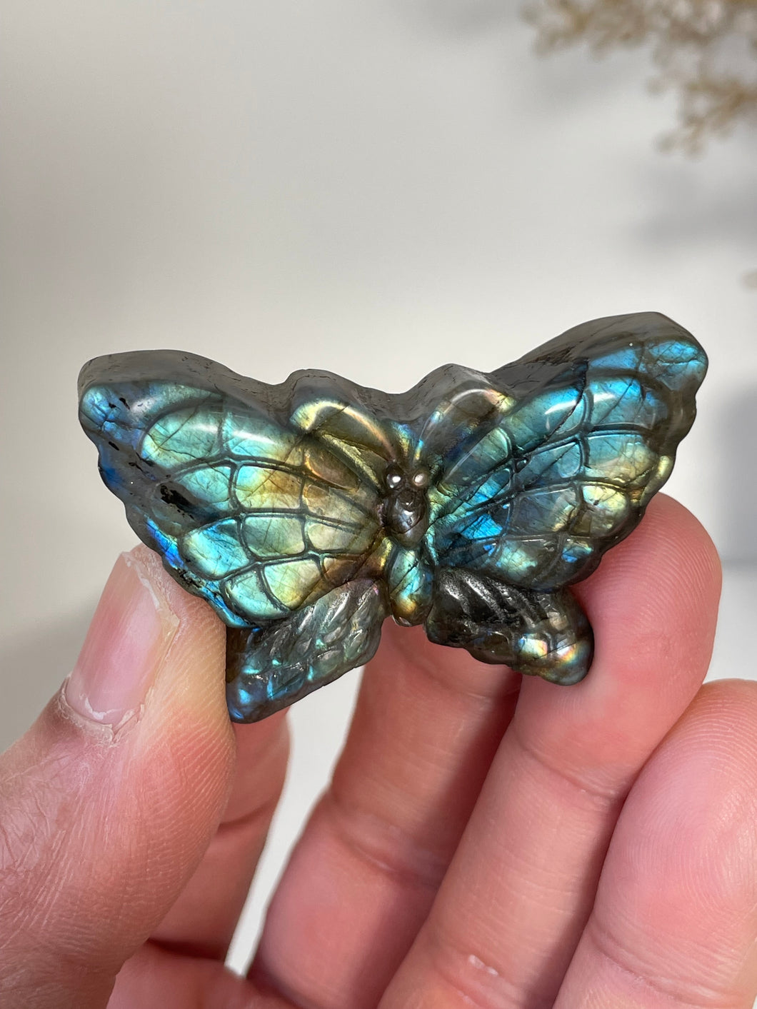 Blue Labradorite Butterfly Carving LA125