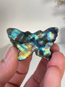 Blue Labradorite Butterfly Carving LA125