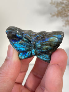 Blue Labradorite Butterfly Carving LA126