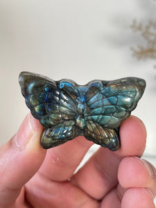 Blue Labradorite Butterfly Carving LA127