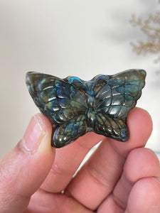 Blue Labradorite Butterfly Carving LA127