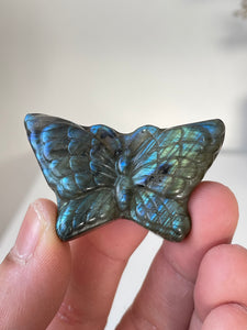 Blue Labradorite Butterfly Carving LA128