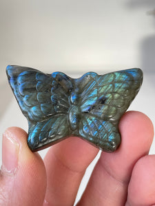 Blue Labradorite Butterfly Carving LA128