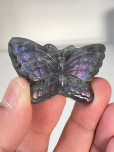 Purple Labradorite Butterfly Carving LA130