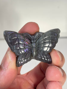 Purple Labradorite Butterfly Carving LA131