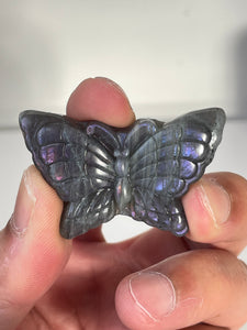 Purple Labradorite Butterfly Carving LA131