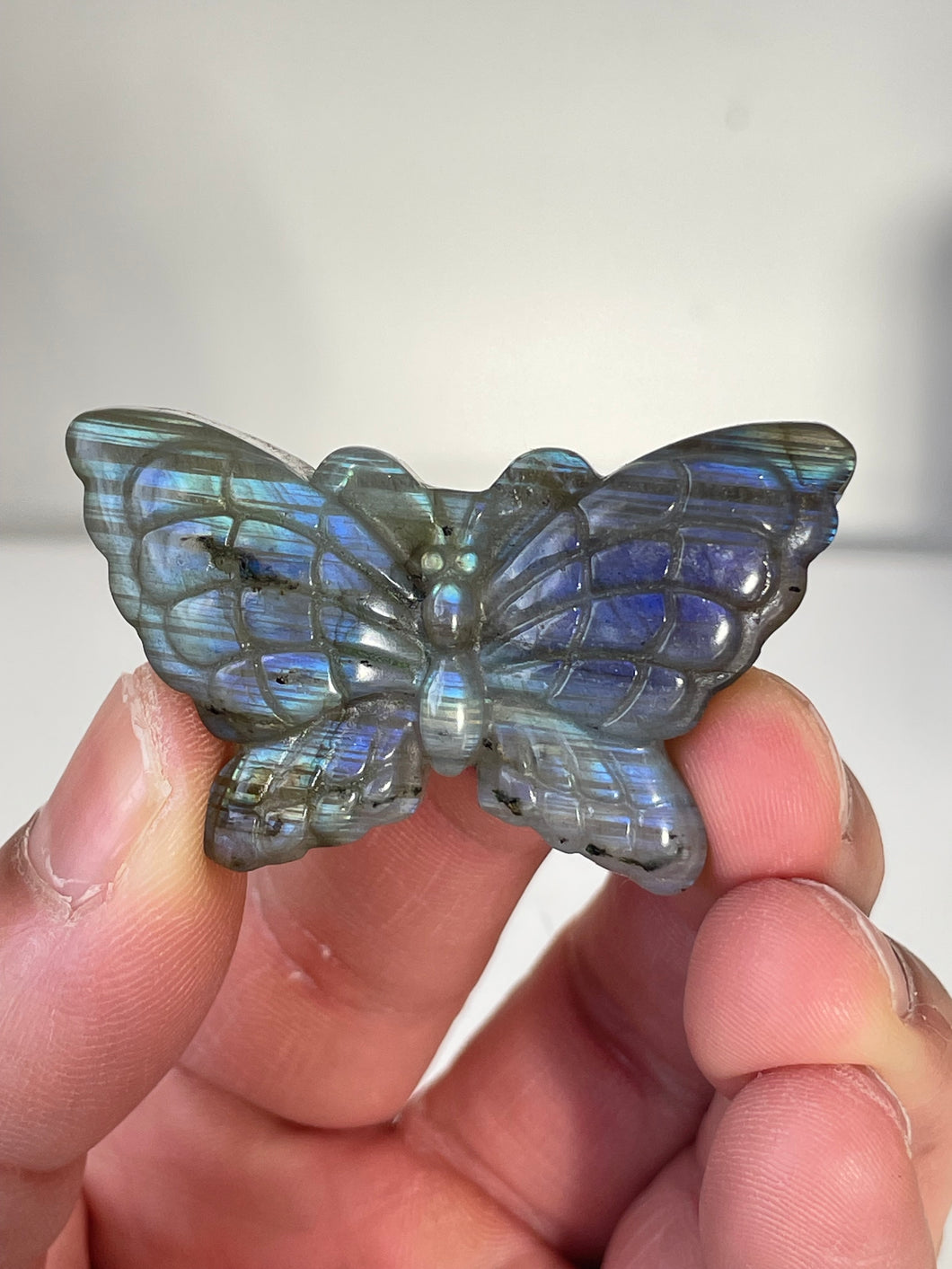 Blue Labradorite Butterfly Carving LA132