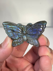 Blue Labradorite Butterfly Carving LA132