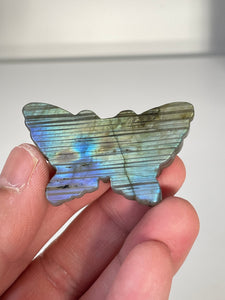 Blue Labradorite Butterfly Carving LA132