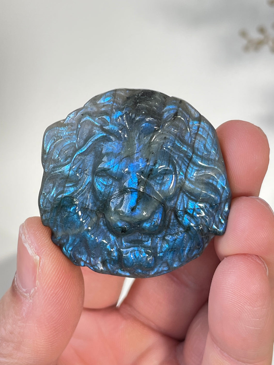 Blue Labradorite Lion Carving LA139