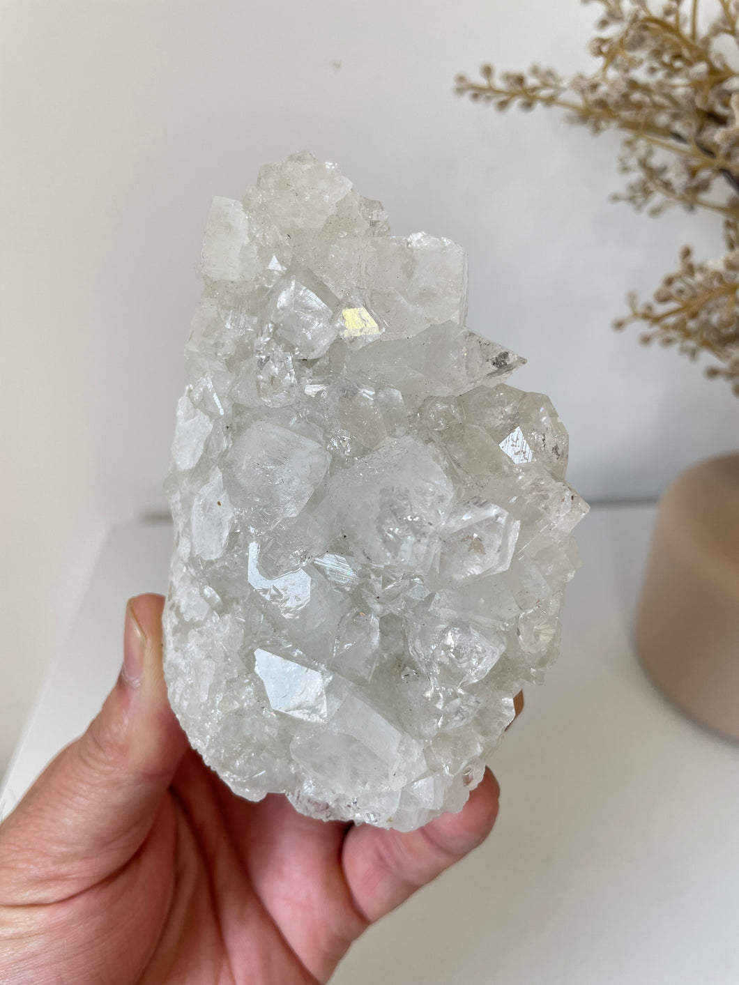 Apophyllite Natural Cluster AP674a