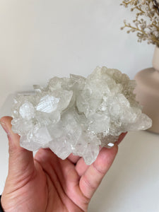 Apophyllite Natural Cluster AP675a