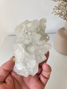 Apophyllite Natural Cluster AP675a