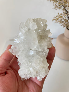 Apophyllite Natural Cluster AP675a