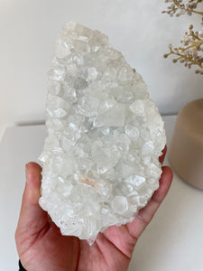 Apophyllite Natural Cluster AP678a