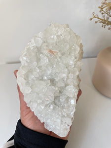 Apophyllite Natural Cluster AP678a