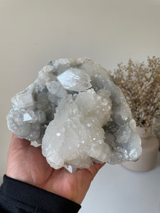 Apophyllite Natural Cluster AP684a