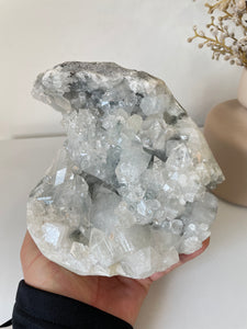 Apophyllite Natural Cluster AP685a