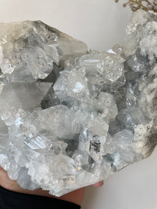 Apophyllite Natural Cluster AP685a