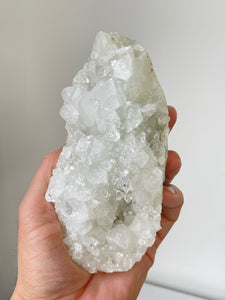 Apophyllite Natural Cluster AP706a