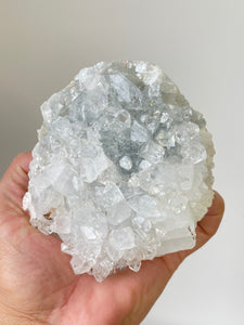 Apophyllite Natural Cluster AP707a