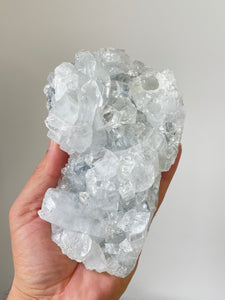 Apophyllite Natural Cluster AP709a