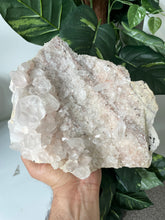 Load image into Gallery viewer, Large Himalayan Quartz Clusters Natural Q220a
