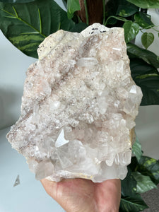 Large Himalayan Quartz Clusters Natural Q220a