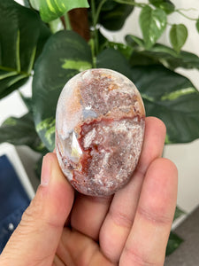 Mexican Agate Palm Stone Natural x 1 PS030