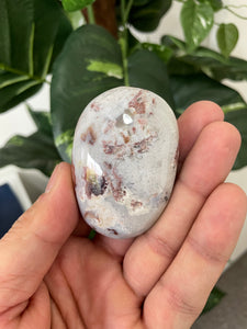 Mexican Agate Palm Stone Natural x 1 PS030