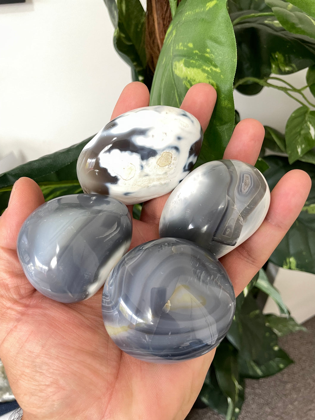 Orca Agate Palm Stone Natural x 1 PS026