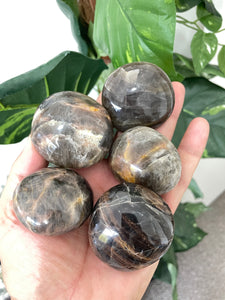 Black Moonstone Palm Stone Natural x 1 PS021