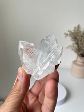 Load image into Gallery viewer, Apophyllite Natural Cluster High-Grade AP734a
